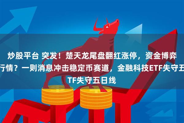炒股平台 突发！楚天龙尾盘翻红涨停，资金博弈反包行情？一则消息冲击稳定币赛道，金融科技ETF失守五日线