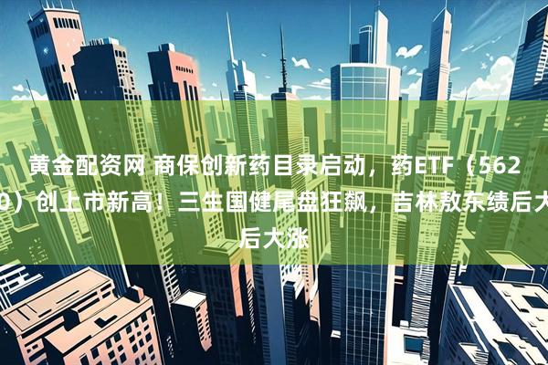 黄金配资网 商保创新药目录启动，药ETF（562050）创上市新高！三生国健尾盘狂飙，吉林敖东绩后大涨